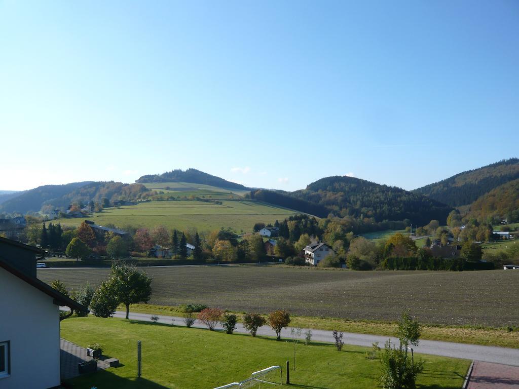Haus Talblick Villa Willingen  Exterior photo